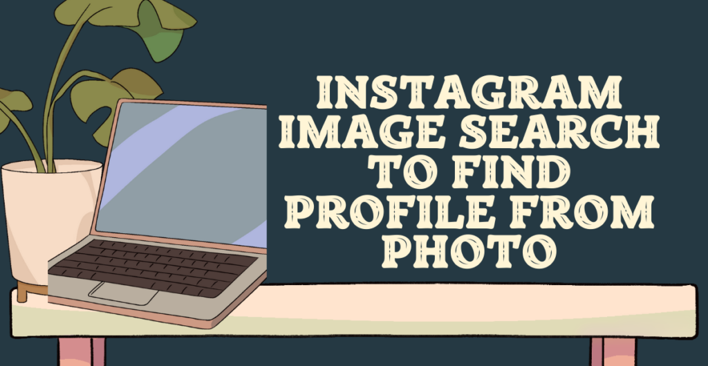 Instagram Image Search to Find Profile From Photo 